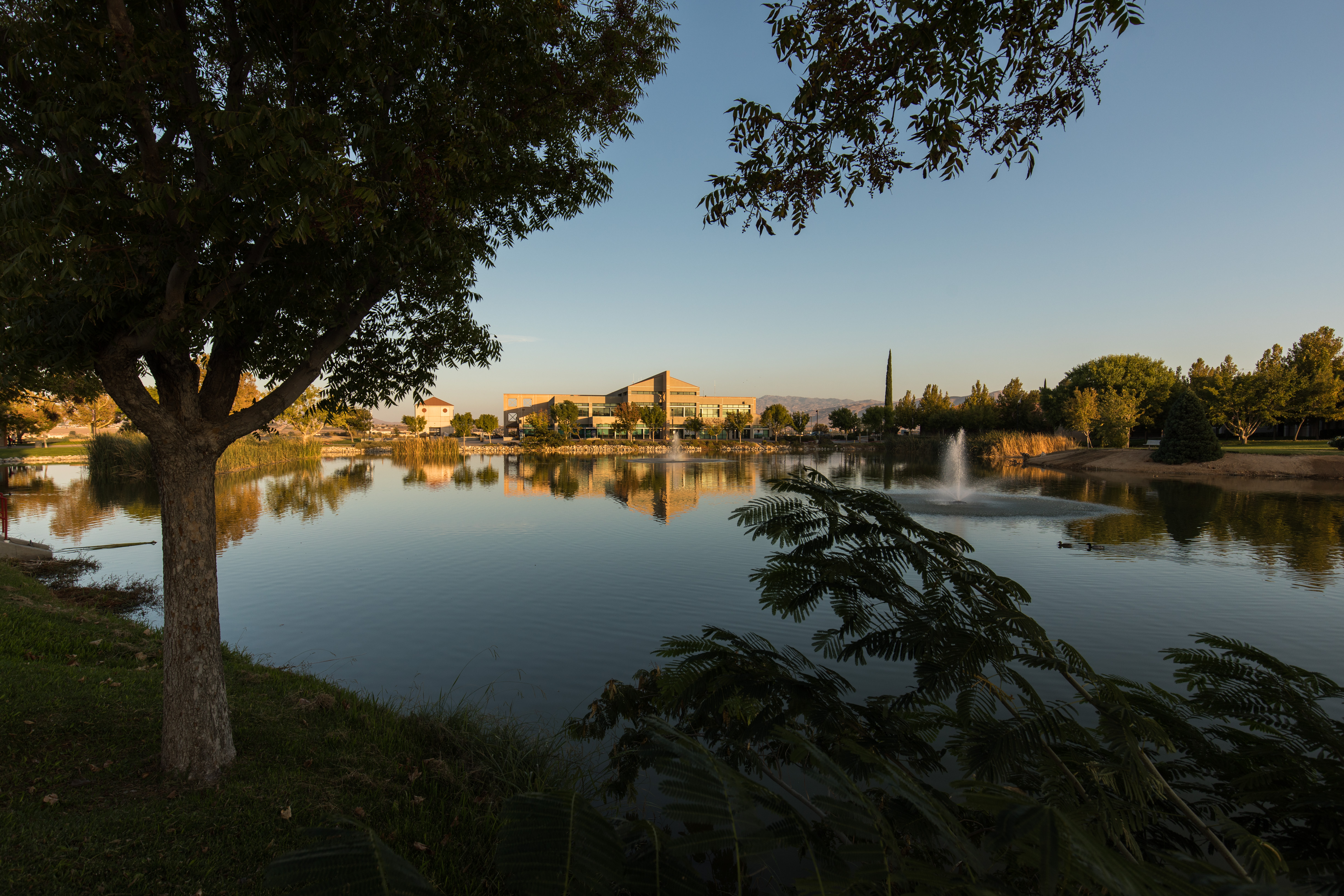 Lake with VVC buildings in the background.